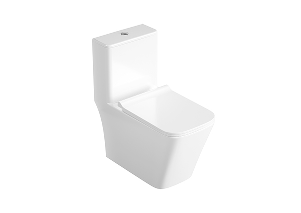 One-Piece Toilet